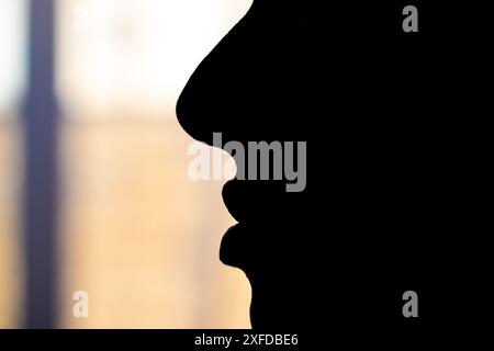 Silhouette of a woman's face in profile on blurred background Stock Photo