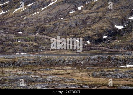 Sisimiut, Groenland. 02nd July, 2024. A future ATV track runs through the landscape near Sisimiut in Greenland, Tuesday, July 2, 2024. The upcoming ATV track goes between Sisimiut and Kangerlussuaq. The royal couple officially visits Greenland from June 29 to July 6, 2024. The visit begins in Disko Bay and the royal couple then travels with Dannebrog south along Greenland's west coast. (Photo: Ida Marie Odgaard/Ritzau Scanpix) Credit: Ritzau/Alamy Live News Stock Photo