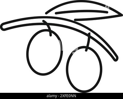 Simple line drawing of an olive branch holding two olives with a leaf Stock Vector