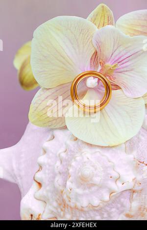 Gold wedding rings on yellow orchid on shell. Delicate pink background. Honeymoon, marriage proposal. vertical Stock Photo