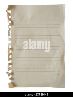 Pulled ring lined notebook paper on white background with clipping path Stock Photo