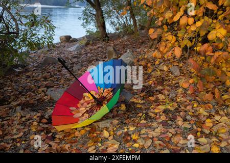 multi-colored umbrella in the colors of the rainbow lies on the ground strewn with autumn leaves. autumn atmosphere. symbol of the rainy season, bad w Stock Photo