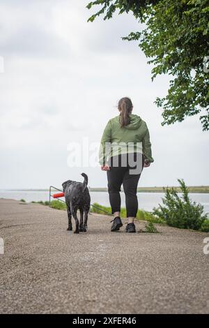 Woman with black labrador retriever walking away after a nice walk and swim on the beach Stock Photo