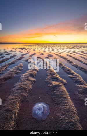 A beautiful evening at the beach near Rotterdam in the Netherlands with strong leading lines in the sand and a vibrant sunset with bright colors Stock Photo