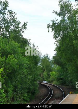 Lymington Harbour, England. 18 June 2024. Part of the rail track from Lymington station disappearing between the trees. Stock Photo