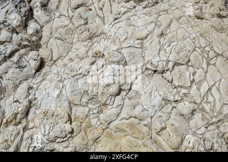 Close up of rock formation forming an interesting complex texture Stock Photo