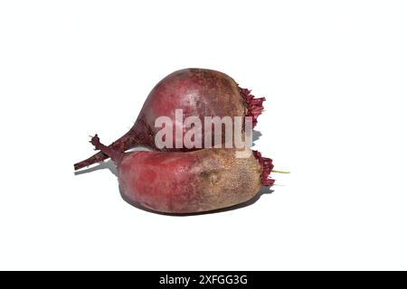 Two red beet fruits lie on a white background. Stock Photo