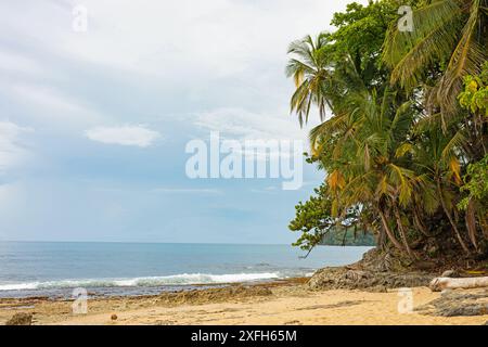 beach in the Refugio Nacional de Vida Silvestre Gandoca Manzanillo or in english Gandoca Manzanillo National Wildlife Refuge in Costa Rica Stock Photo