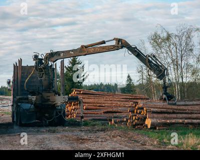 Loading logs using hydraulic machinery on logging truck. Stock Photo