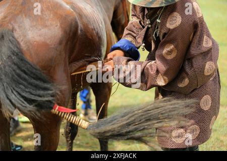 Ulaanbaatar, Mongolia, 5th Aug, 2023. Danshig Naadam Khuree Tsam festival. Credit: L.Enkh-Orgil. Stock Photo