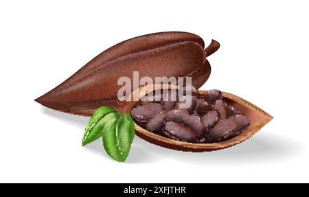 Cocoa Bean on white background, realistic vector illustration close-up Stock Vector