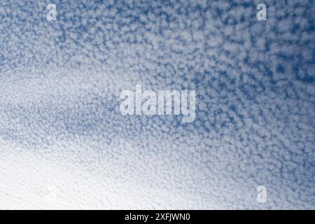 alto cumulus clouds, altocumulus, weather phenomena, blue sky Stock Photo