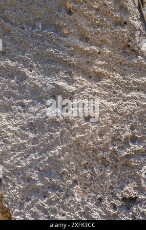 Layered eroded stone, rocky coast, close up Stock Photo