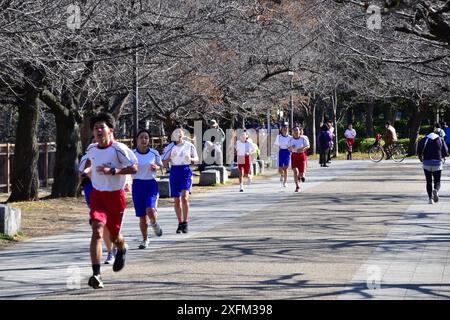 Japanese high school students in gym outfit jogging in Osaka Castle Park during a school running event Stock Photo