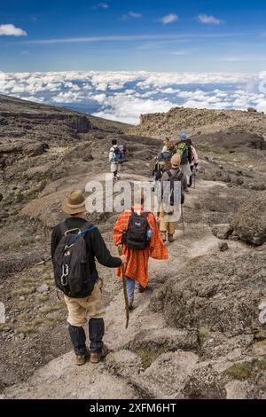 Hikers along the Machame Trail, Mount Kilimanjaro, Tanzania. May 2008. Stock Photo