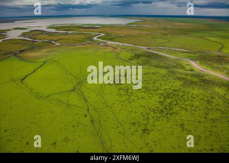 Aerial view of the edge of Lake Urema with animal trails, Gorongosa National Park, Mozambique. July 2014 Stock Photo