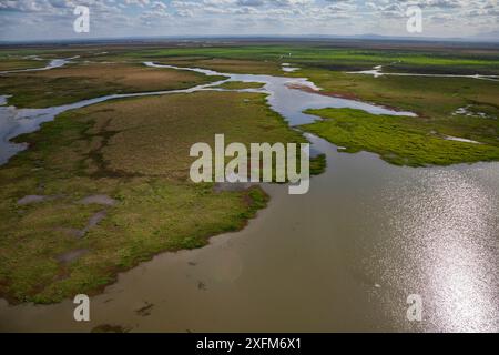 Aerial view of the edge of Lake Urema, Gorongosa National Park, Mozambique. Stock Photo