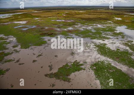 Aerial view of the edge of Lake Urema, Gorongosa National Park, Mozambique. June 2016 Stock Photo