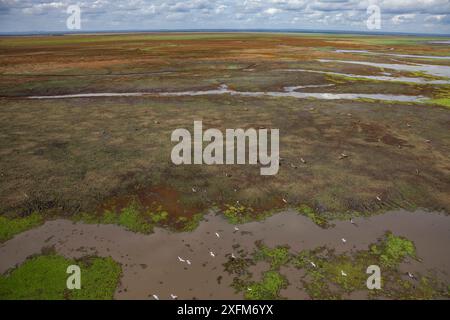 Aerial view of the edge of Lake Urema, Gorongosa National Park, Mozambique.  June 2016 Stock Photo