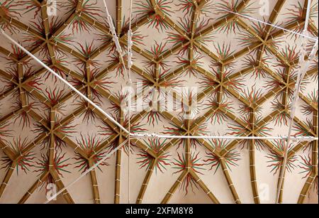 ceiling in the church of the church castle of Birthaelm in the village of Biertan in Transsylvania, Romania Stock Photo