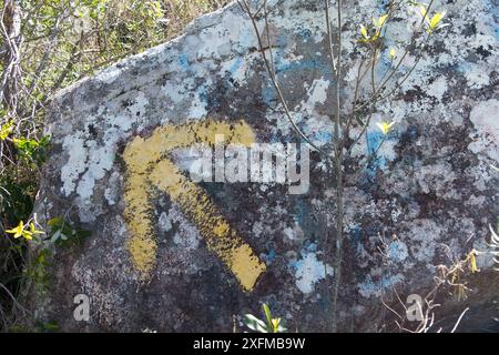 A rock with a yellow arrow pointing to the right. The rock is covered in moss and has a blue and white rock Stock Photo