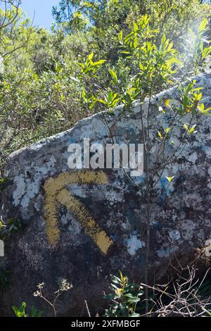 A rock with a yellow arrow pointing to the right. The rock is covered in moss and has a blue and white rock Stock Photo