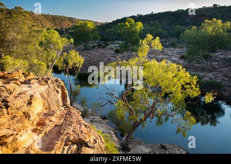 First light on the bush at Ross Graham Lookout, Murchison River Gorge, Kalbarri National Park, Western Australia, December 2015. Stock Photo