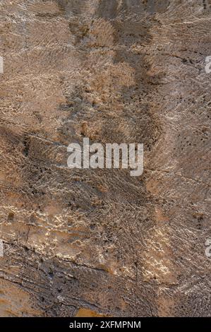Background texture of limestone surface Stock Photo