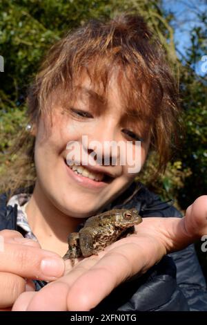 Asian woman looking at a Common toad (Bufo bufo) found in a garden, Wiltshire, UK, March. Model released. Stock Photo