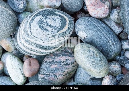 Close up of pebbles on beach, Scotland, UK, October. Stock Photo