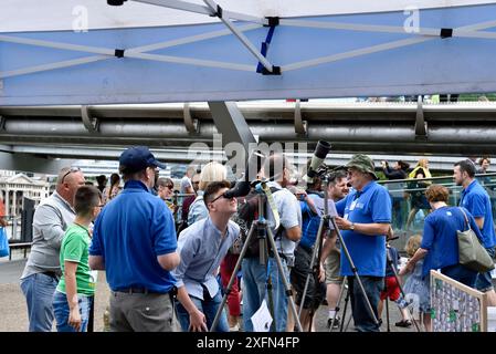 Young man looking through telescope at the RSPB Urban Peregrine falcon watch stall on the South Bank, London, England, UK July 2016. Stock Photo