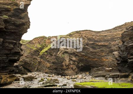 Monocline fold that has been faulted during the Variscan orogeny, in Carboniferous sandstone and shale. Broad Haven, Pembrokeshire, Wales, UK, May Stock Photo