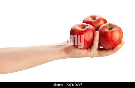 apples in hand path isolated on white Stock Photo