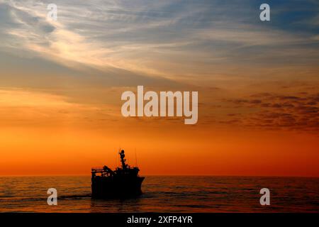 Sun setting over the North sea with fishing vessel 'Ocean Harvest" hauling gear on board. North Sea, May 2016. Property released. Stock Photo