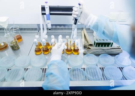 female laboratory assistant conducts research, chemical analysis, analysis of bacteria in the laboratory, doctor makes a test Stock Photo