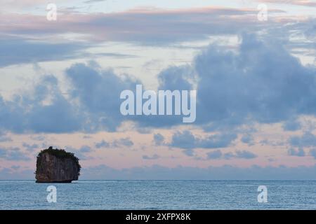 Small island at dawn,  Waigeo, Raja Ampat, Western Papua, Indonesian New Guinea. December 2016. Stock Photo