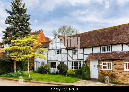 Pretty timbered, whitewashed Wealden style cottage on The Grn in Chiddingfold, a village in Surrey, south-east England Stock Photo