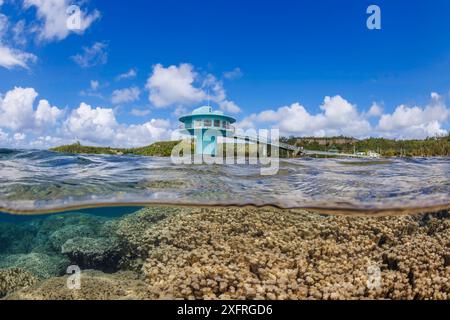 An above and below view of the hard coral reef around the Fisheye Marine Park underwater observatory in Piti Bay, Guam, Micronesia, US Territory, Cent Stock Photo