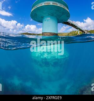 An above and below view of the hard coral reef around the Fisheye Marine Park underwater observatory in Piti Bay, Guam, Micronesia, US Territory, Cent Stock Photo