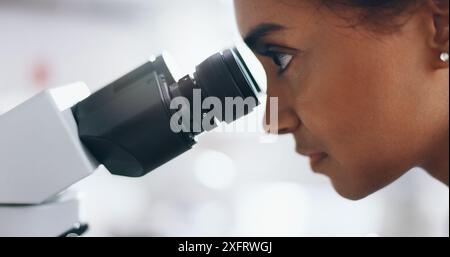 Medical, research and woman with microscope, science and check experiment for cancer treatment. Person, scientist and employee with lab equipment Stock Photo