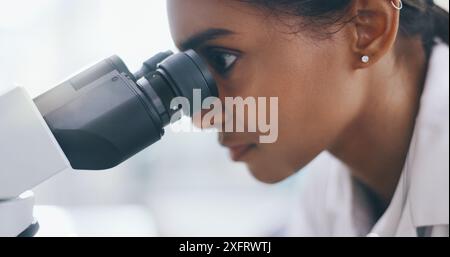 Studying, research and woman with microscope, science and sample for bacteria, cure and breakthrough. Person, scientist and employee with lab Stock Photo