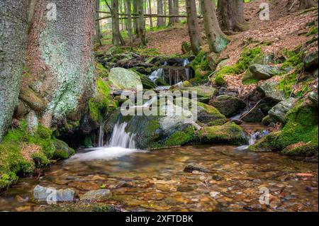 Krkonose mountains - waterfall scenic nature moss green background - white wild water falling from rocks making romantic veils. KRNAP (Krkonossky Nati Stock Photo