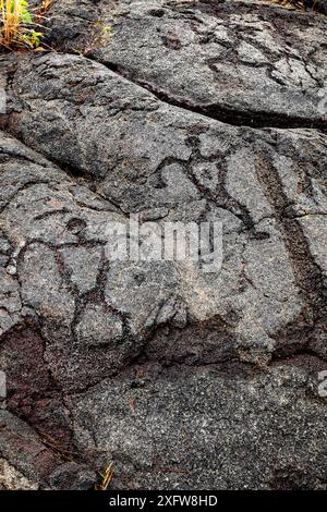 Pu'u Loa petroglyphs along the Chain Of Craters Road, Hawaii Volcanoes National Park, Hawaii. Stock Photo