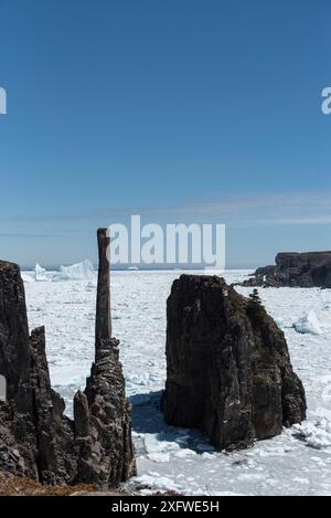 Coastline with sea stacks near Bonavista, with unseasonal sea ice in the bay. Newfoundland, Canada, May 2017. Stock Photo