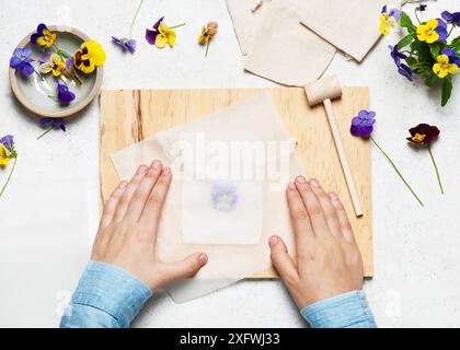 Step 2. Cover the flowers with a transparent paper. Hammered flower prints on fabric. Natural material craft for kids concept. Top view. Stock Photo