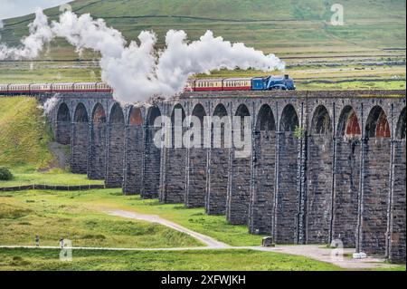 The image is of the BR, LNER A4 Pacific Class, 4-6-2, 60007, Sir Nigel Gresley steam train crossing the Ribblehead viaduct in the Yorkshire Dales Stock Photo