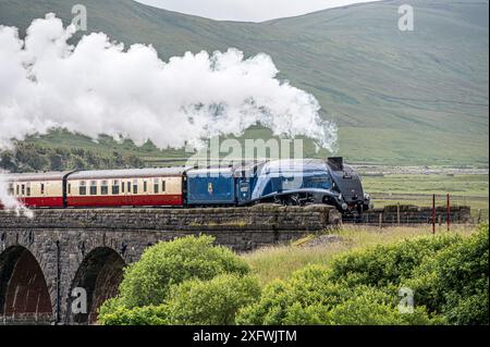 The image is of the BR, LNER A4 Pacific Class, 4-6-2, 60007, Sir Nigel Gresley steam train crossing the Ribblehead viaduct in the Yorkshire Dales Stock Photo