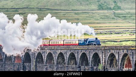 The image is of the BR, LNER A4 Pacific Class, 4-6-2, 60007, Sir Nigel Gresley steam train crossing the Ribblehead viaduct in the Yorkshire Dales Stock Photo