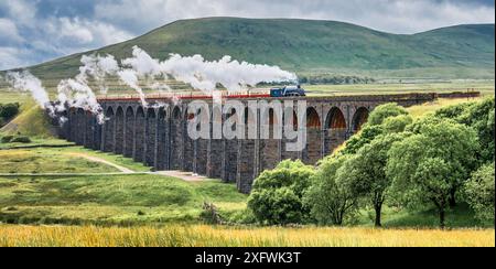 The image is of the BR, LNER A4 Pacific Class, 4-6-2, 60007, Sir Nigel Gresley steam train crossing the Ribblehead viaduct in the Yorkshire Dales Stock Photo