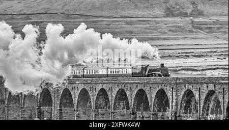 The image is of the BR, LNER A4 Pacific Class, 4-6-2, 60007, Sir Nigel Gresley steam train crossing the Ribblehead viaduct in the Yorkshire Dales Stock Photo